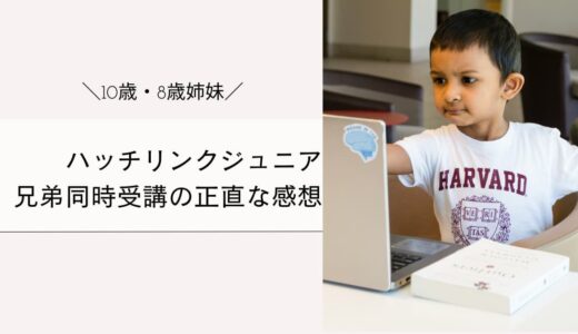 【ハッチリンクジュニア口コミ】10歳・8歳で兄弟受講は合わなかった