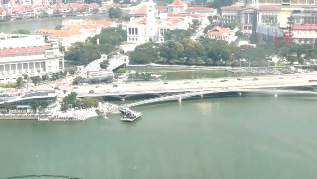 マーライオン発見