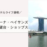 マリーナベイサンズの周辺施設でホテル満喫