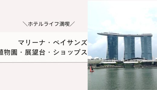 マリーナベイサンズの周辺施設でホテル満喫