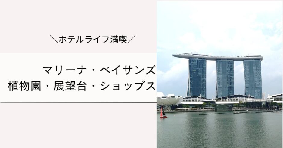 マリーナベイサンズの周辺施設でホテル満喫